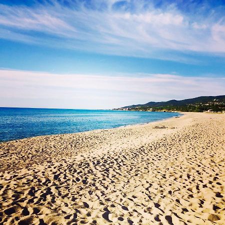 Palauma Plage Sari-Solenzara Kültér fotó