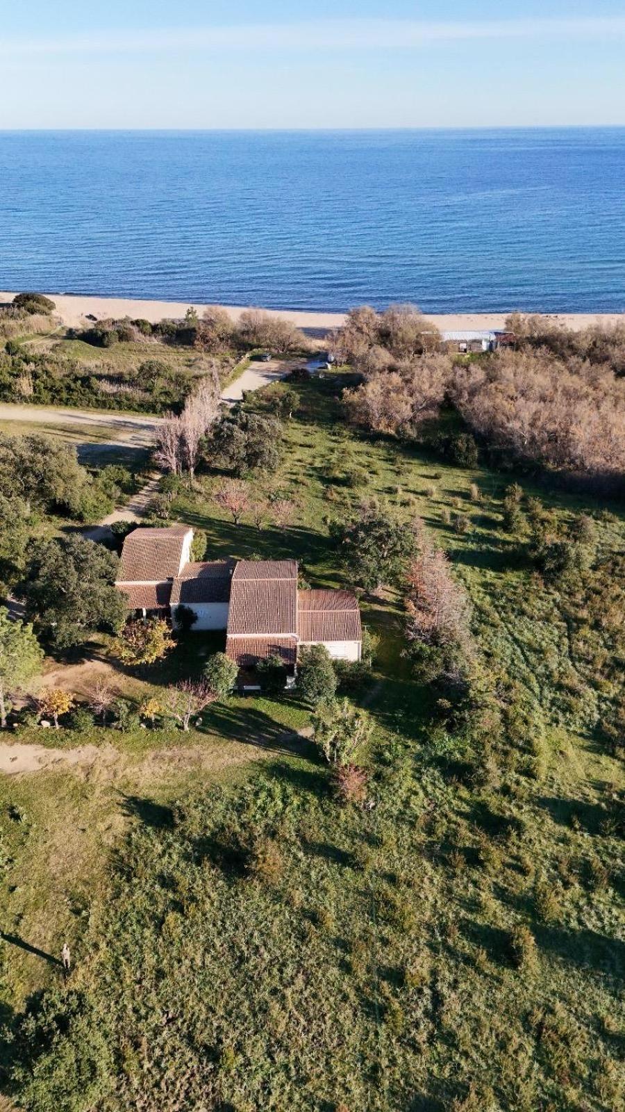 Palauma Plage Sari-Solenzara Kültér fotó